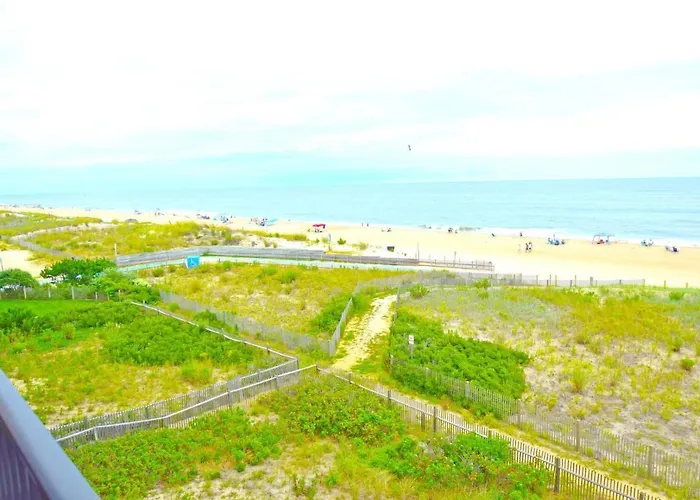 Amber Waves 300 Ocean City